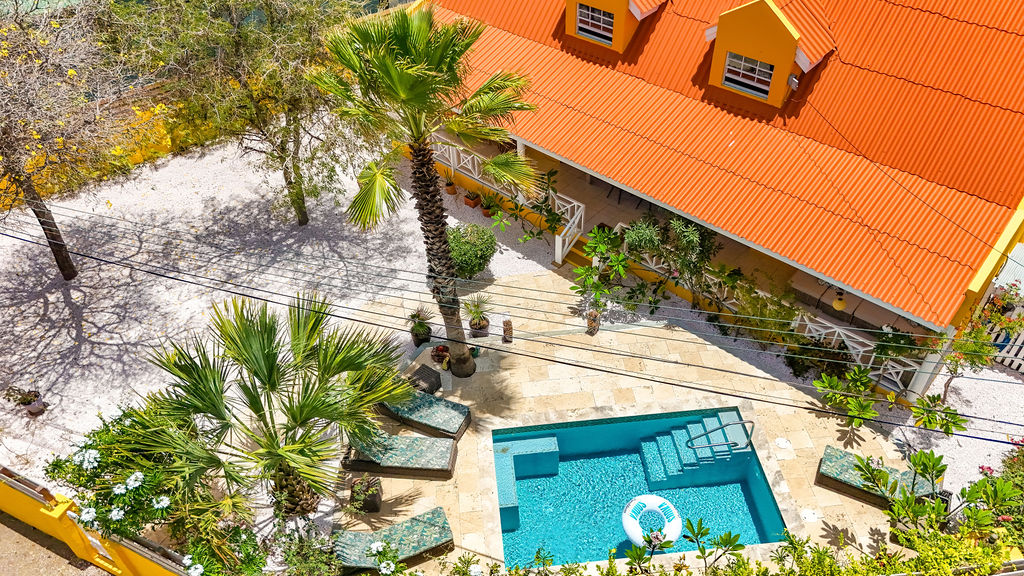 Aerial of the covered veranda, palm-shaded pool and garden