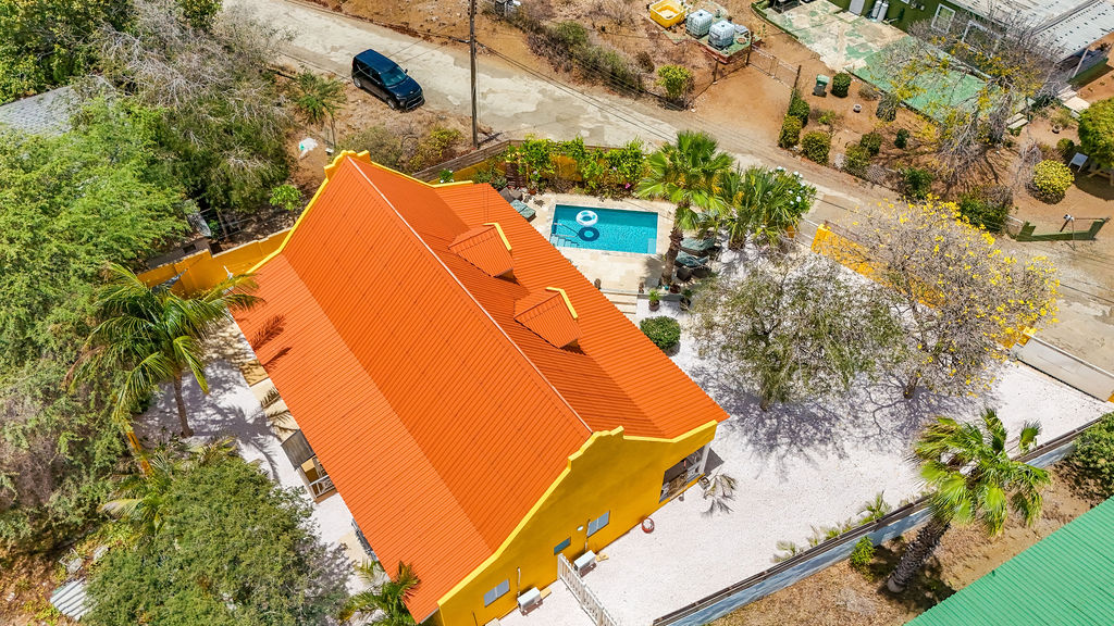 Aerial of the villa with pool, terrace and lush garden