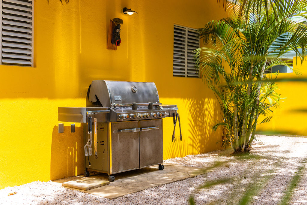 Gas grill BBQ tucked against the sunny wall